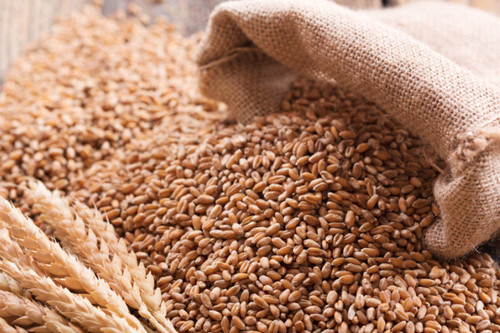 The Cabinet of Ministers plans to import 700 thousand tons of wheat and build 10 granaries - Tazabek