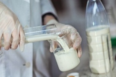 Milk production exceeded 1.3 million tons in September – Tazabek