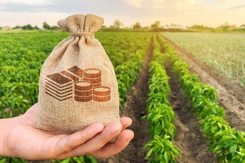 The Ministry of Agriculture proposes to approve a $650 thousand grant for the preparation of design estimates for two irrigation canals - Tazabek