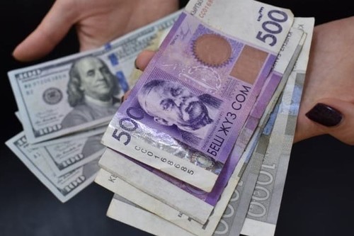 Budget expenditures for the Veterinary Service in 2027 will increase to 1.5 billion soms - Tazabek