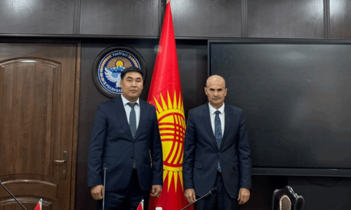Kyrgyzstan proposed that Iraq issue multiple-entry visas valid for 1 year to cargo carriers - Tazabek